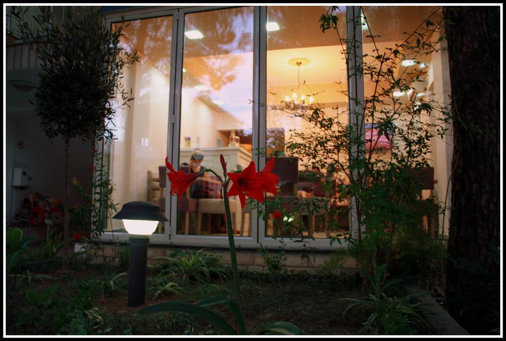 Hotel Princi I Vogel Velipoje Ngoại thất bức ảnh