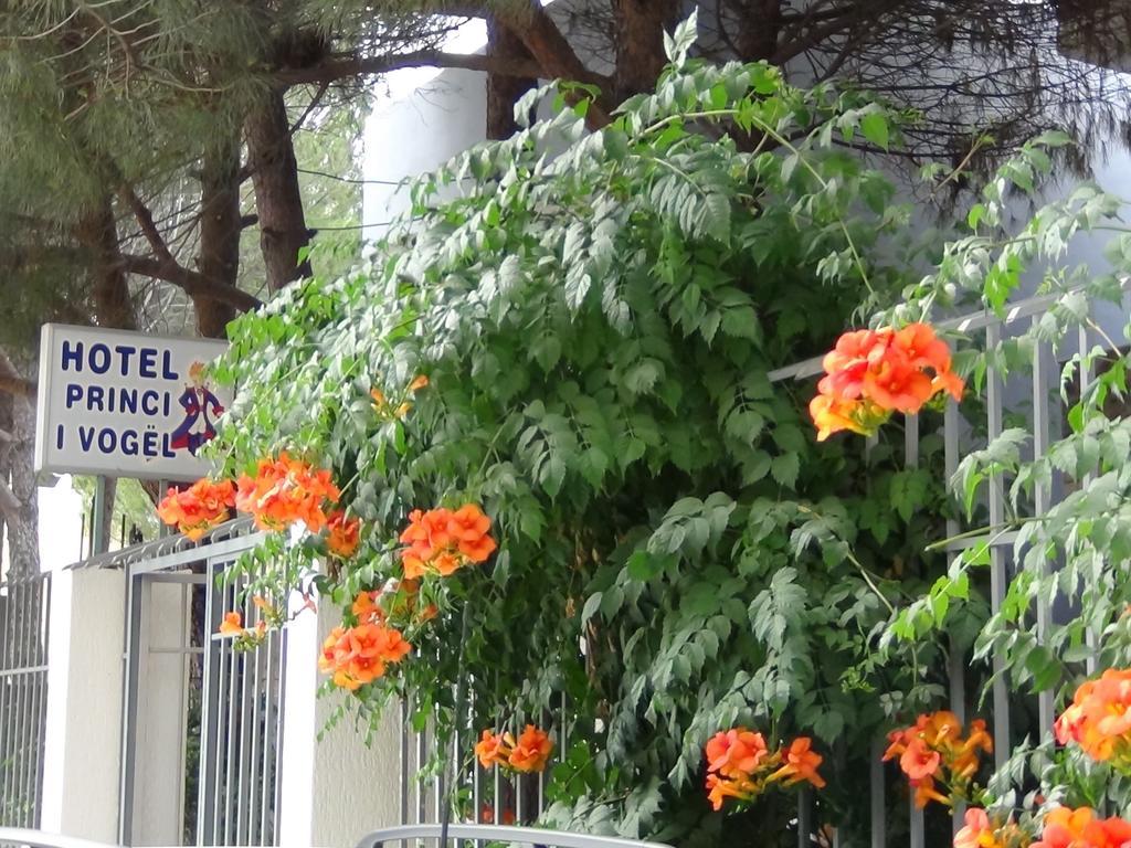 Hotel Princi I Vogel Velipoje Ngoại thất bức ảnh