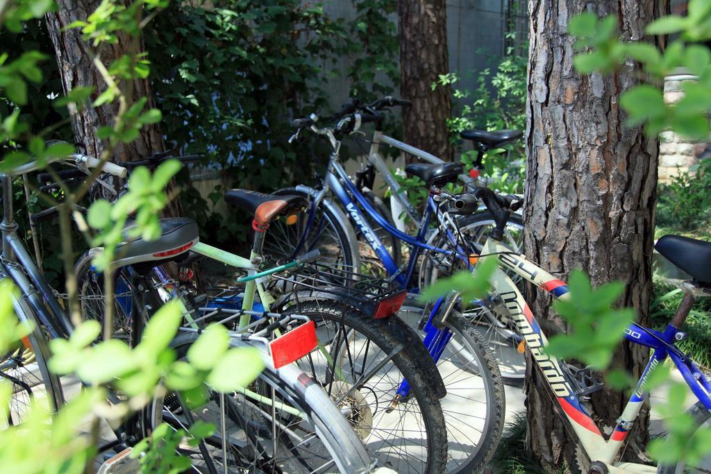 Hotel Princi I Vogel Velipoje Ngoại thất bức ảnh
